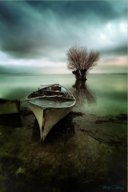 deserted boat